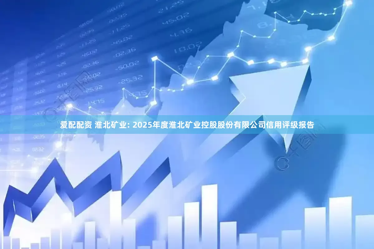 爱配配资 淮北矿业: 2025年度淮北矿业控股股份有限公司信用评级报告