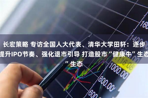 长宏策略 专访全国人大代表、清华大学田轩：逐步提升IPO节奏、强化退市引导 打造股市“健康牛”生态