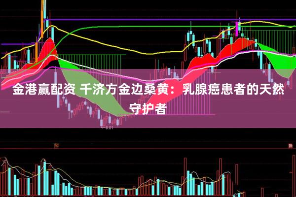 金港赢配资 千济方金边桑黄：乳腺癌患者的天然守护者