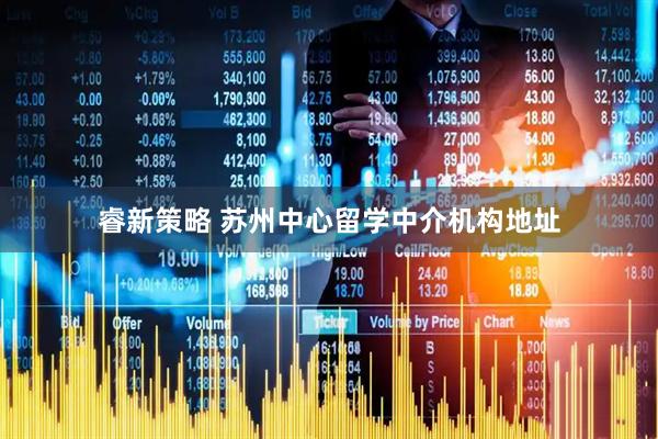 睿新策略 苏州中心留学中介机构地址