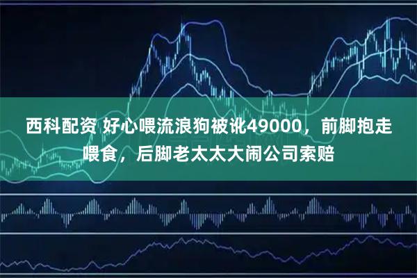 西科配资 好心喂流浪狗被讹49000，前脚抱走喂食，后脚老太太大闹公司索赔
