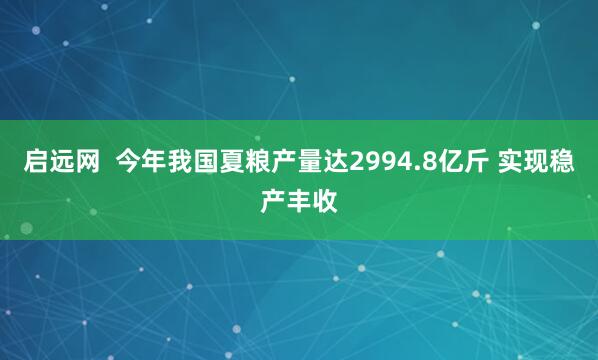 启远网  今年我国夏粮产量达2994.8亿斤 实现稳产丰收