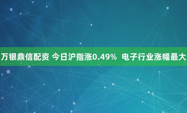 万银鼎信配资 今日沪指涨0.49%  电子行业涨幅最大